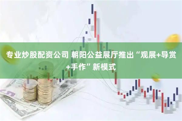 专业炒股配资公司 朝阳公益展厅推出“观展+导赏+手作”新模式