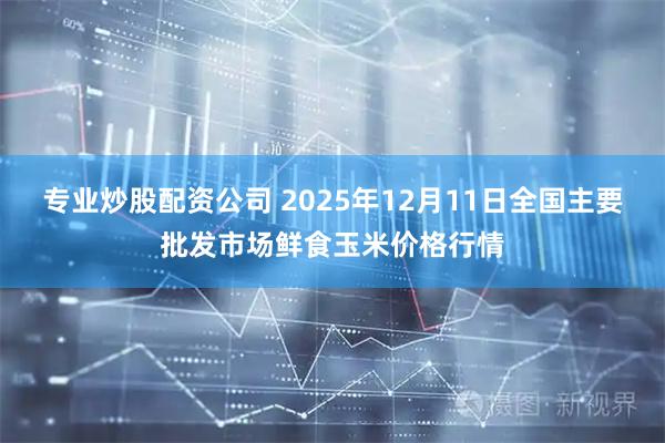 专业炒股配资公司 2025年12月11日全国主要批发市场鲜食玉米价格行情