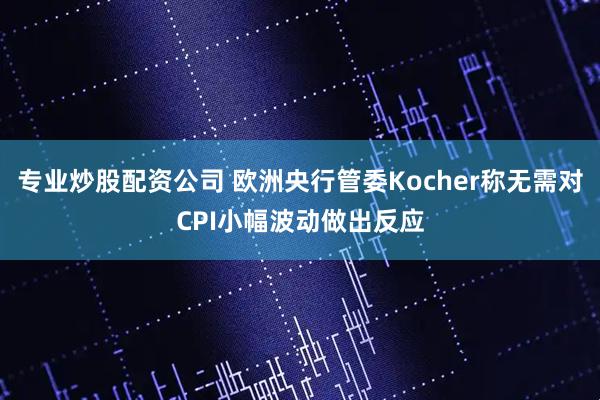 专业炒股配资公司 欧洲央行管委Kocher称无需对CPI小幅波动做出反应