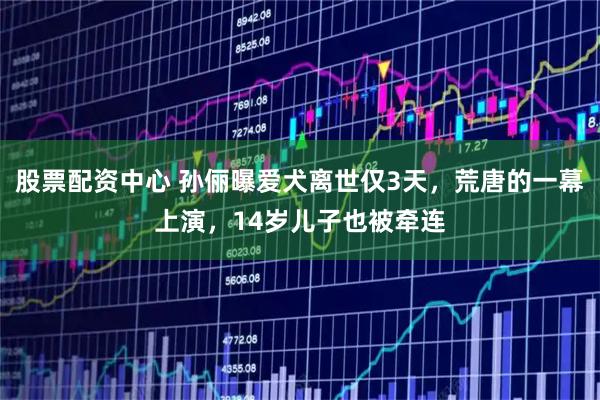 股票配资中心 孙俪曝爱犬离世仅3天，荒唐的一幕上演，14岁儿子也被牵连