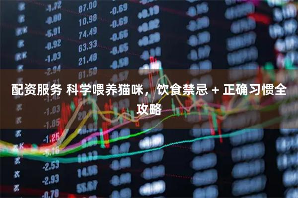 配资服务 科学喂养猫咪，饮食禁忌 + 正确习惯全攻略