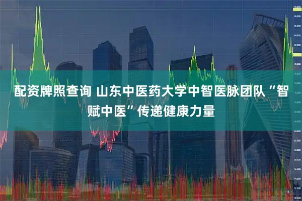 配资牌照查询 山东中医药大学中智医脉团队“智赋中医”传递健康力量